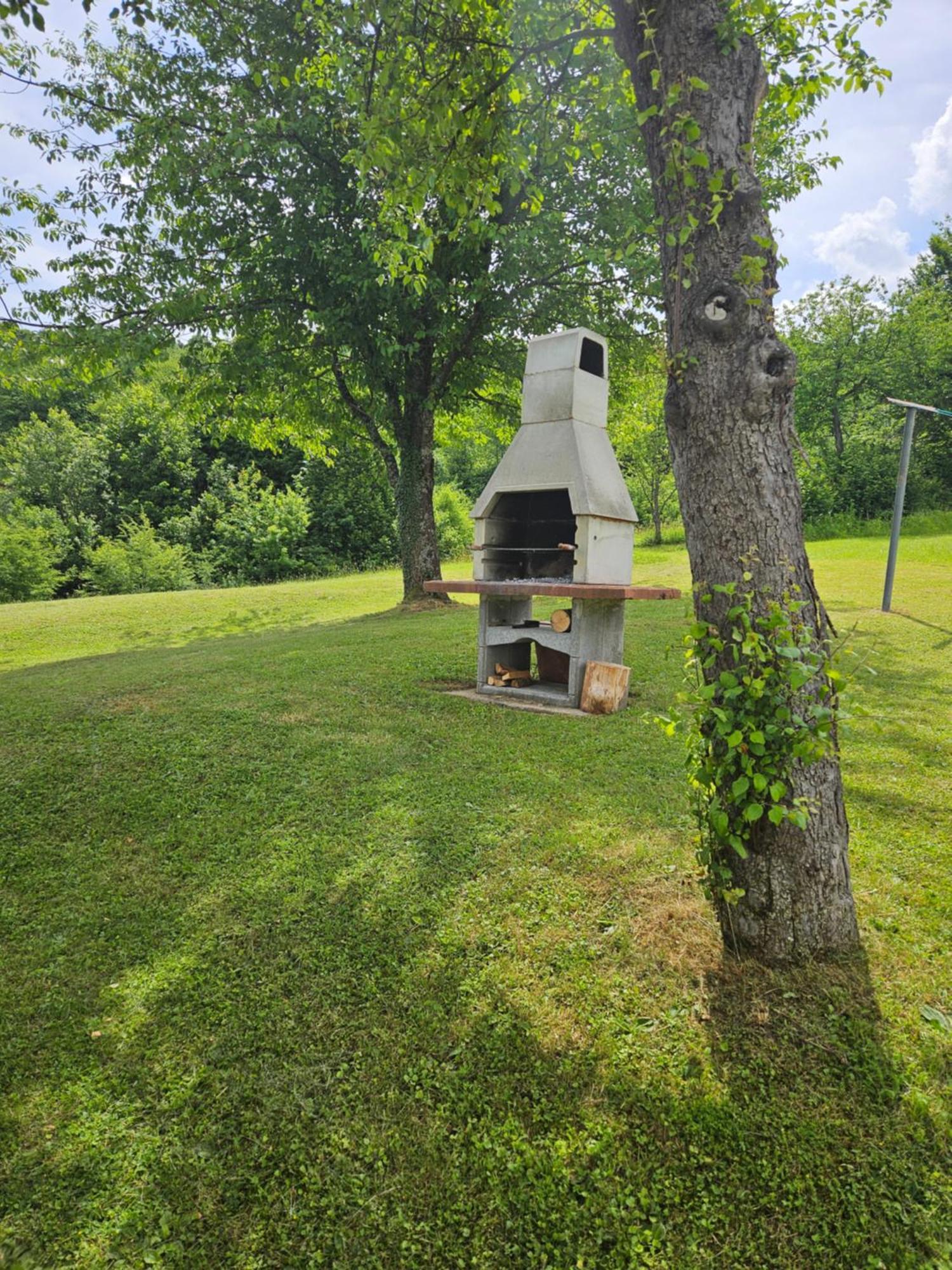 Holiday home Mile - House Smoljanac